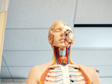 cardiologist